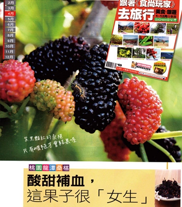 媒體採訪報導-桑葚緣觀光果園